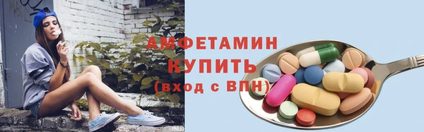 прущий лед Бородино