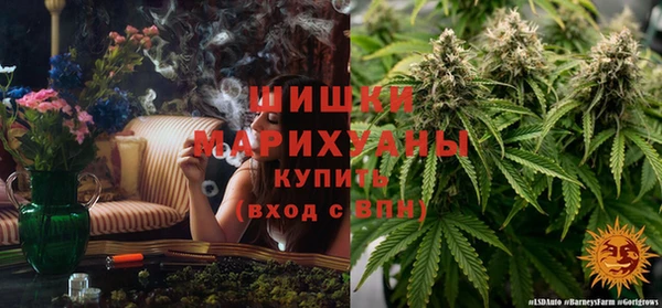 прущий лед Бородино