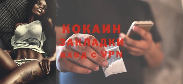прущий лед Бородино