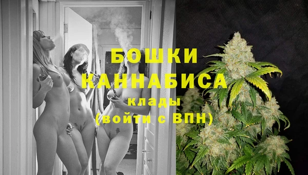 PSILOCYBIN Пролетарск