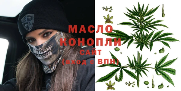прущий лед Бородино