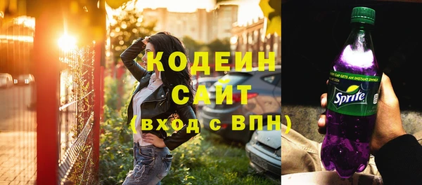 прущий лед Бородино