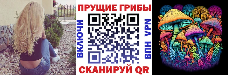 Псилоцибиновые грибы прущие грибы  Бронницы 